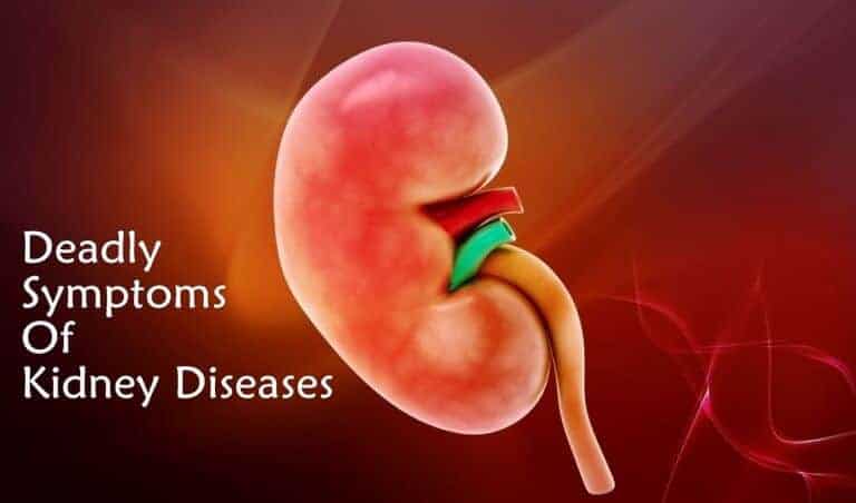 12 Deadly Symptoms Of Kidney Diseases You Shouldnt Ignore