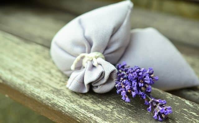 Lavender and Rosemary