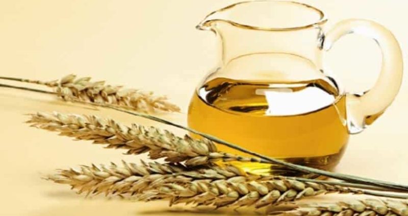9 Benefits Of Wheat Germ Oil