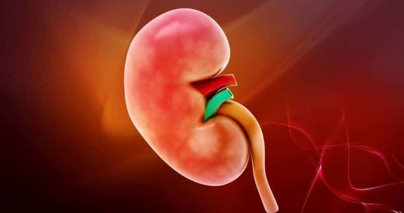 How To Do A Kidney Cleanse At Home?