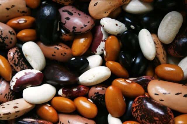 Legumes, Beans & High Fiber FoodLegumes, Beans & High Fiber FoodLegumes, Beans & High Fiber Food