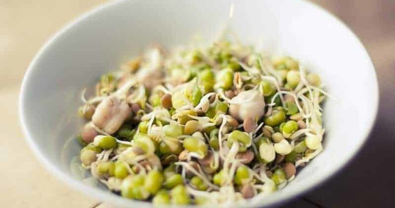 9 Different Types Of Sprouts That Should Be Included In Your Diet