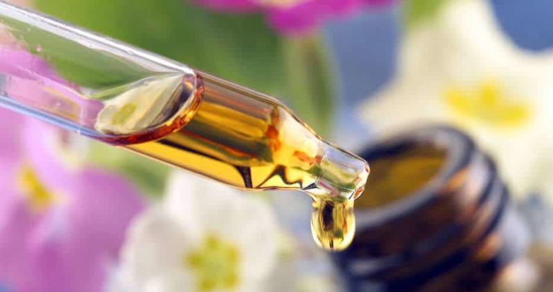 17 Health Benefits Of Eucalyptus Oil