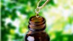 Egyptian Musk Oil : Health Benefits, Uses, How To Prepare
