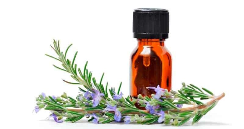 Health Benefits Of Rosemary Oil