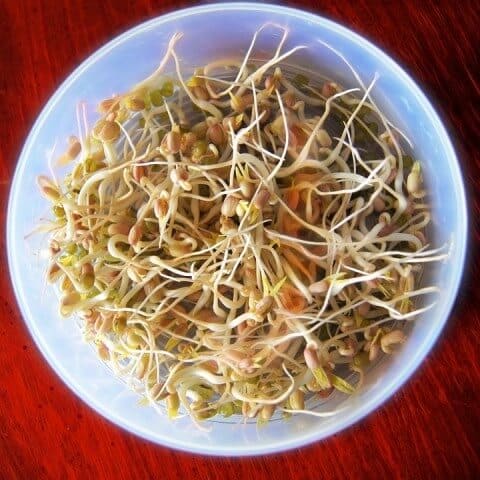 How Much Sprouts Should I Eat Day