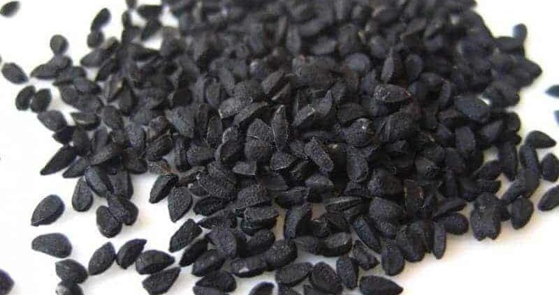14 Health Benefits Of Black Seed Oil (Nigella Sativa)
