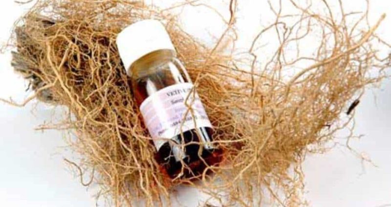 Heath Benefits And Usage Of Vetiver Oil