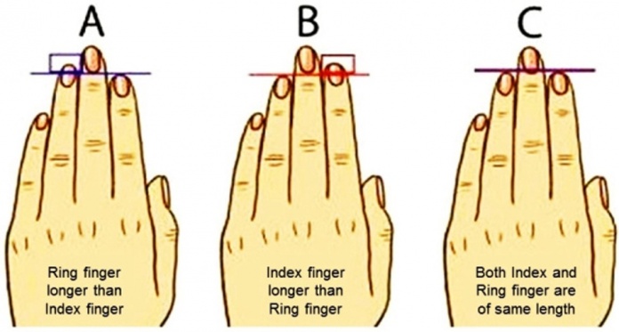 Figure 1: Hand types