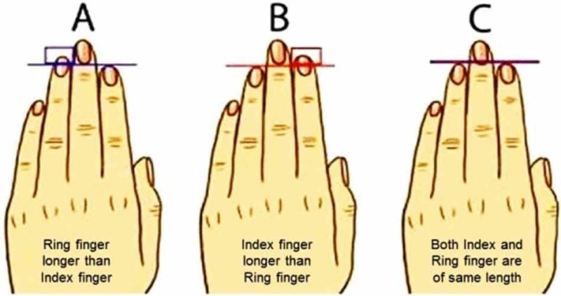 Shocking Things Your Finger Length Reveals About Your Personality