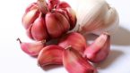 Garlic Allergy : Causes, Symptoms & Cure