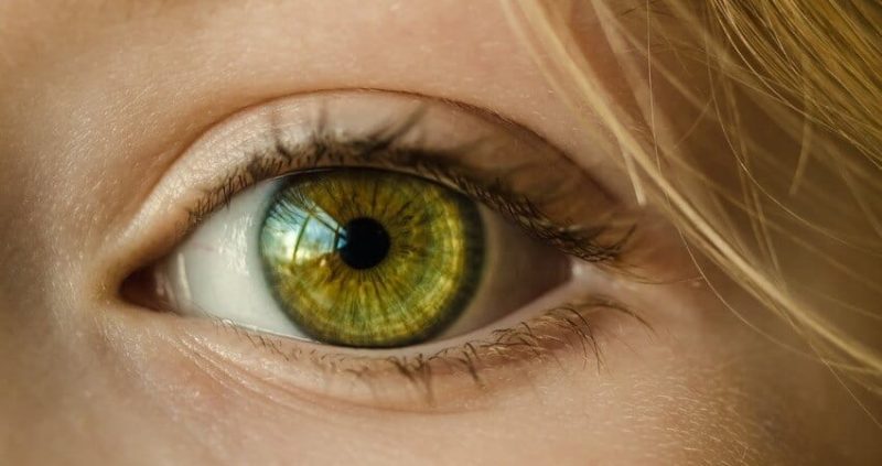 How To Treat An Ingrown Eyelash?