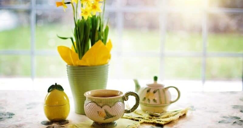 Top 11+ Benefits Of Drinking Java Tea