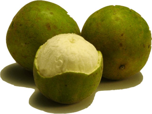 Monkfruit