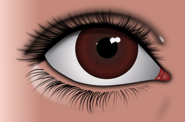 What Determines Your Eye Color
