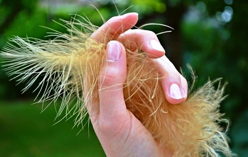 Spoon Shaped Nails 