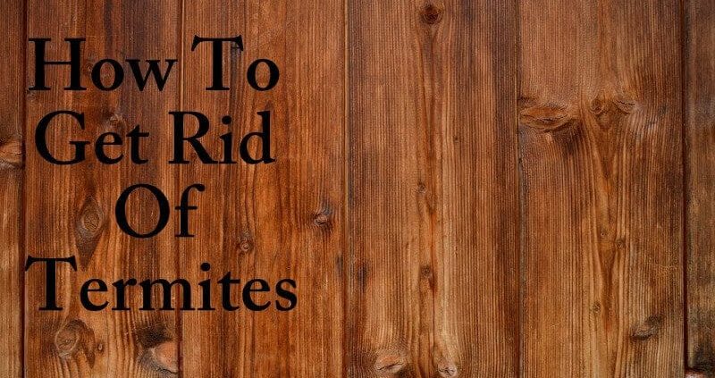 Home Remedies To Get Rid Of Termites
