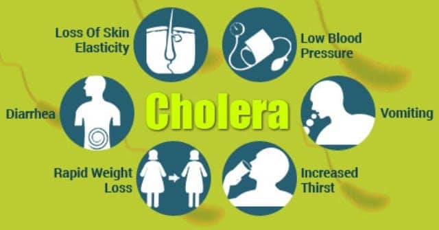 cholera