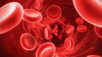 31 Scientific Ways To Increase Haemoglobin In A Week