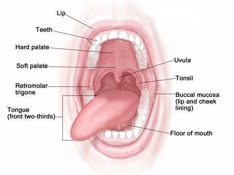 What Are The Possible Causes Of Bump On The Roof Of Mouth