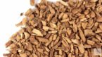Calamus Root (Sweet Flag): Health Benefits, Dosage, Side Effects