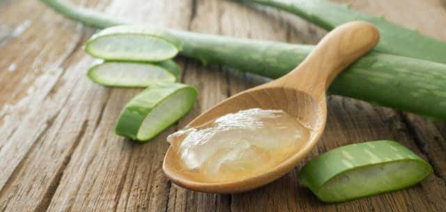 Aloe Vera stop hives from itching