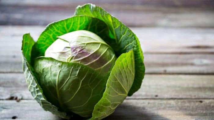 Cabbage for blood purification