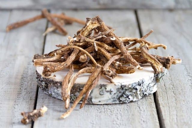 Dandelion root for blood purification