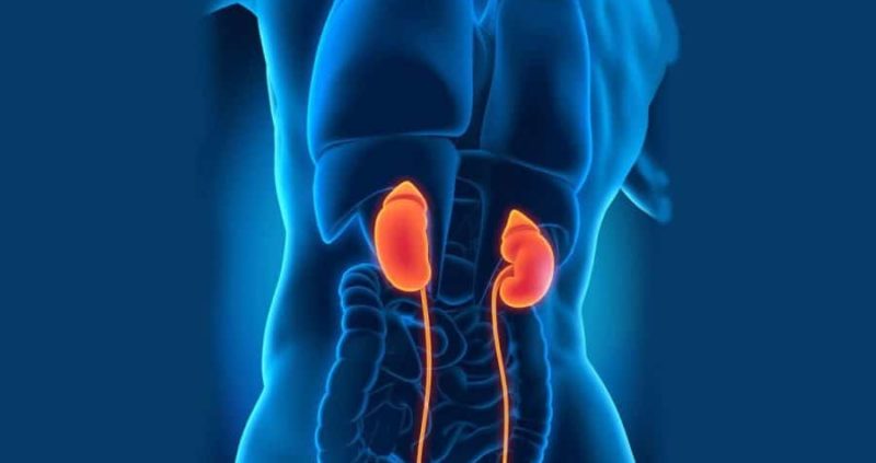 Home Remedies To Get Rid Of Kidney Stones Fast