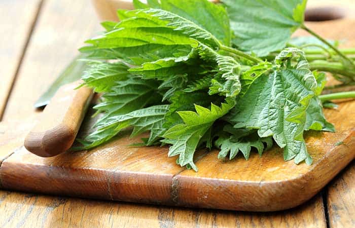 Nettle for skin rash