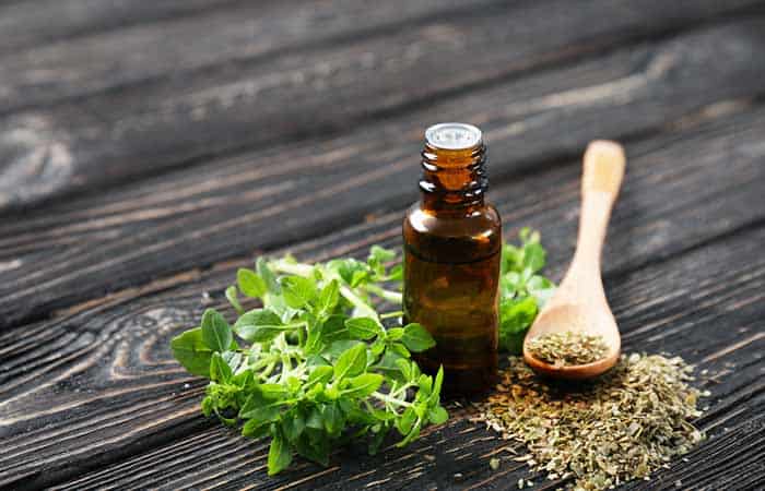 Oregano Oil