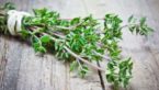 Thyme : 14 Health Benefits + Side Effects