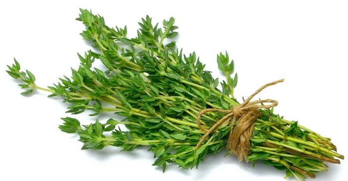 Uses Of Thyme