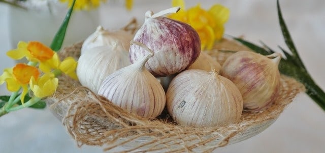 Garlic For Xiphoid Process Pain