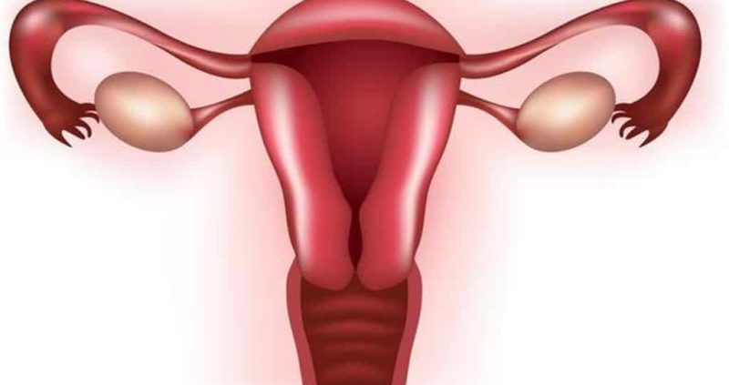 Anteverted Uterus : Symptoms , Causes , Diagnosis, Treatment