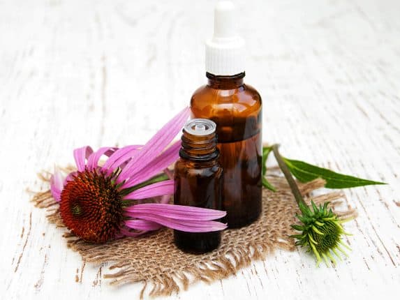 Echinacea oil for cold