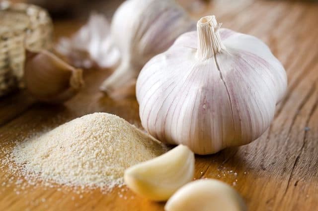 Garlic 1