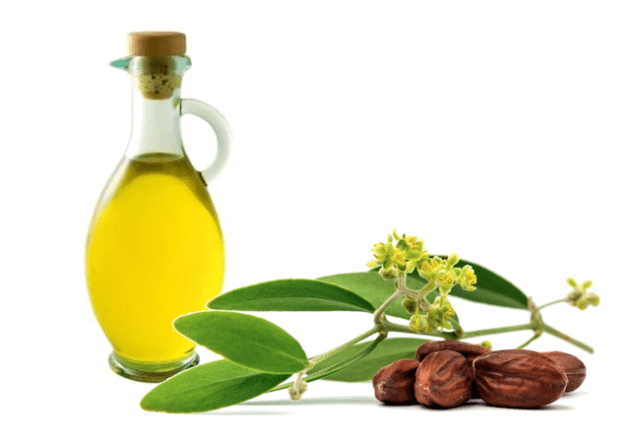 Jajooba oil