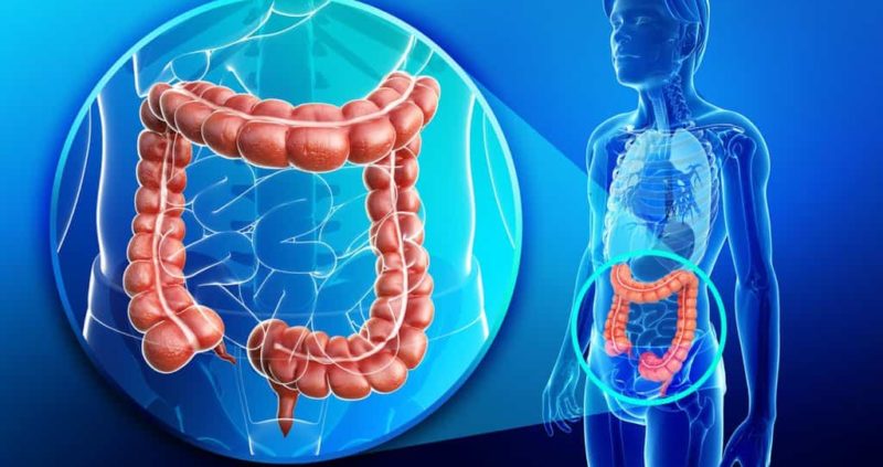 Transverse Colon : How To Keep It Healthy & Its Significance?