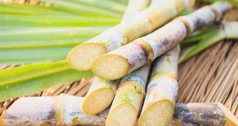 27+Health Benefits Of Sugarcane Juice