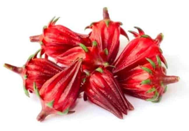 Red Roselle 