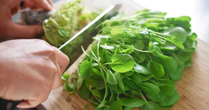 Watercress Health Benefits : 13 Reason Try This