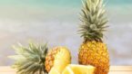 Can Dogs Eat Pineapple? Find It Out