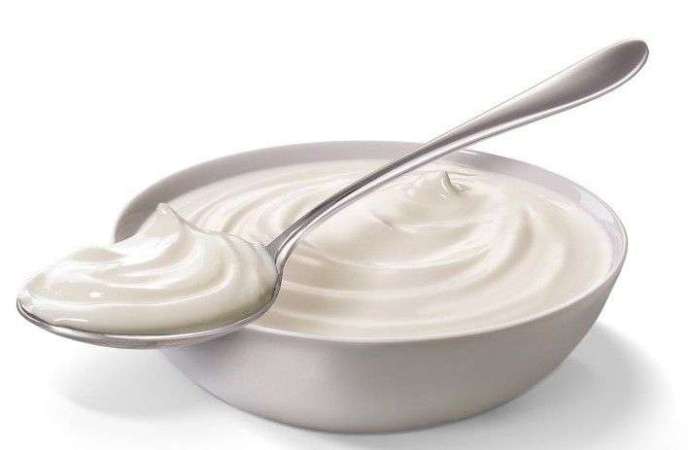 Yogurt for white blood cells