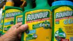 5 Health Problems Linksed To Monsanto’s Roundup