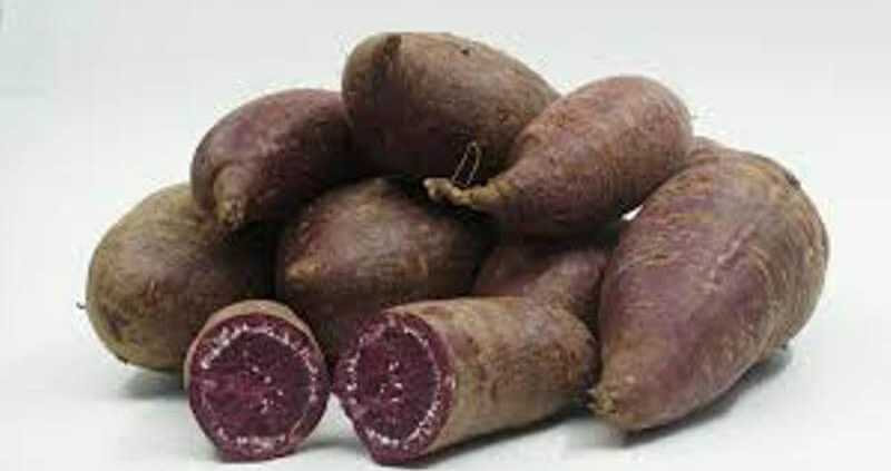 Health Benefits Of Murasaki Sweet Potato