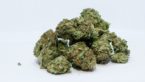 What To Expect During A Medical Marijuana Evaluation