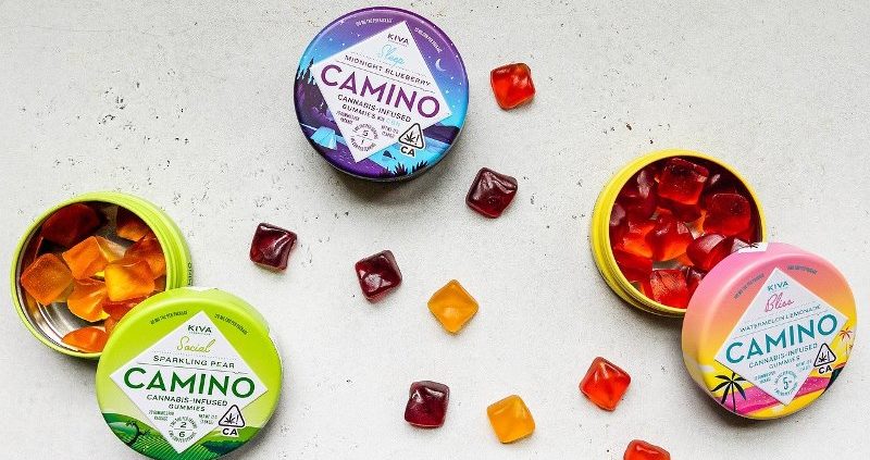 Why CBD Gummies Are Popular In 2022