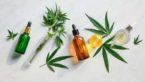 CBD Tinctures: How to Use Them The Right Way