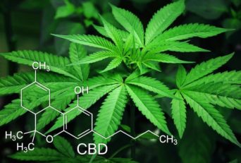 How Medical Cannabis Can Help With Chronic Pain